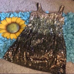 Express Ombre Sequins Dress